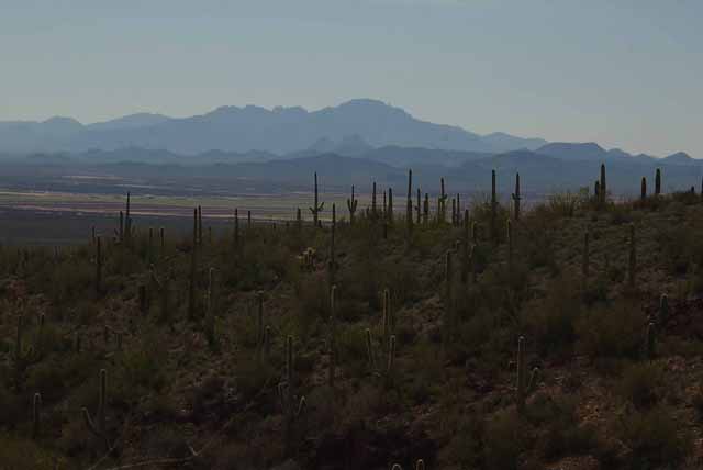 mountain view from the AZ-Sonora Desert Museum